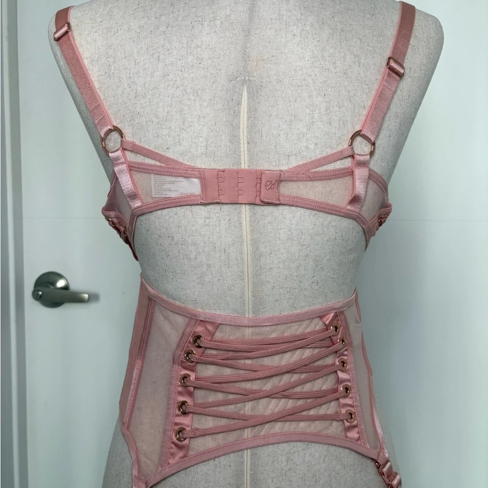Honey Birdette Jerry Bra, Brief, and garter Blush Pink Bra Full Set - Picture 8 of 12